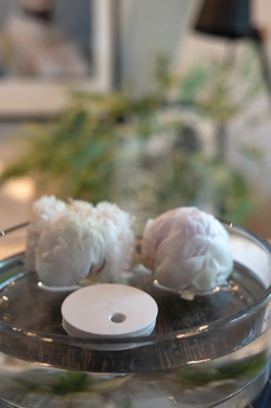 Logotrade Firmengeschenke das Foto: Breevia aufladbarer schwimmender Luftbefeuchter aus RCS rABS