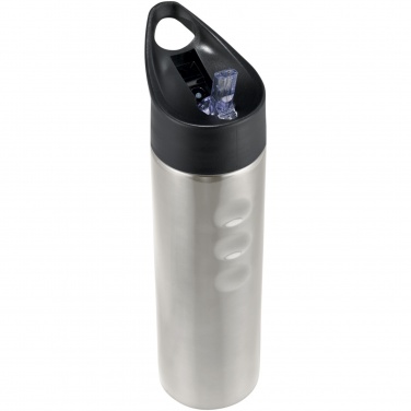 Logotrade promotional product image of: Trixie 750 ml stainless steel sport bottle