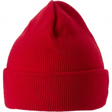 Logotrade promotional item image of: Irwin beanie
