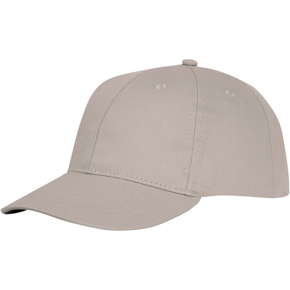 Logo trade promotional giveaway photo of: Ares 6 panel cap