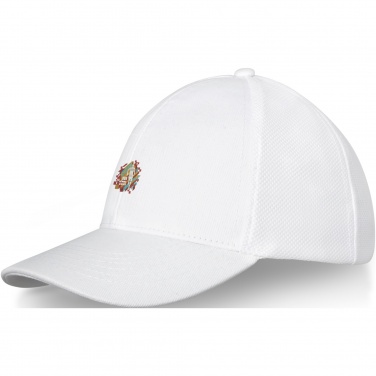 Logo trade promotional giveaways image of: Drake 6 panel trucker cap