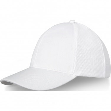 Logotrade promotional giveaway image of: Drake 6 panel trucker cap