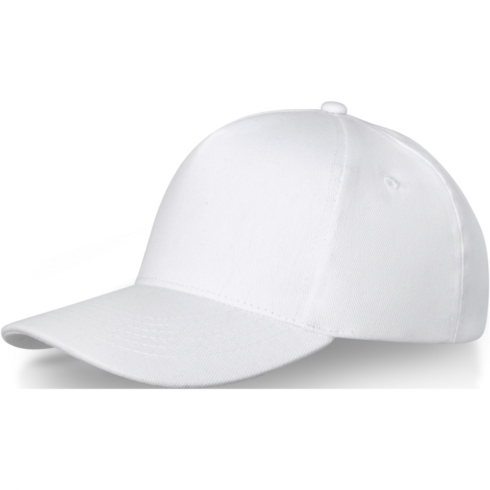 Logo trade promotional gift photo of: Doyle 5 panel cap