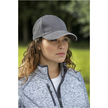 Logo trade corporate gifts picture of: Darton 6 panel sandwich cap
