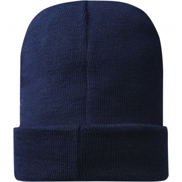 Logotrade promotional giveaway picture of: Hale Polylana® beanie