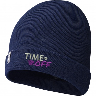 Logotrade promotional giveaway image of: Hale Polylana® beanie