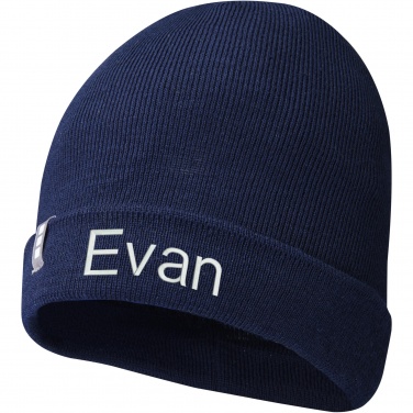 Logotrade promotional products photo of: Hale Polylana® beanie