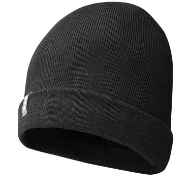 Logotrade promotional merchandise picture of: Hale Polylana® beanie