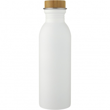 Logotrade promotional gifts photo of: Kalix 650 ml stainless steel water bottle