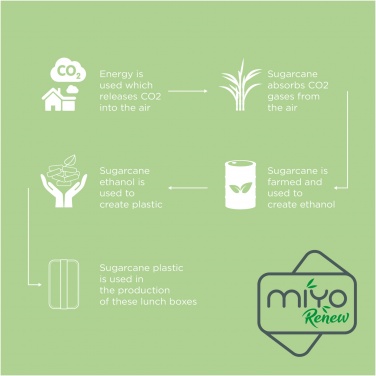 Logotrade promotional product image of: MIYO Renew single layer lunch box