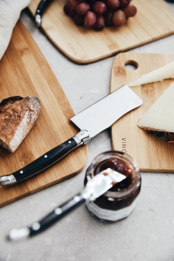 Logo trade promotional merchandise image of: VINGA Gigaro cheese knives