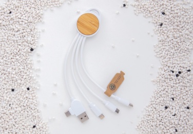 Logotrade promotional merchandise picture of: RCS recycled plastic Ontario 6-in-1 round cable