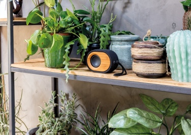 Logotrade corporate gift picture of: Bamboo X  speaker