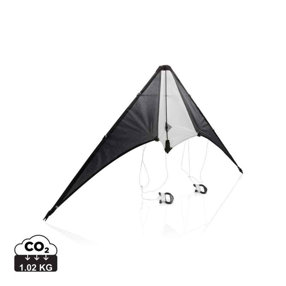 Logotrade corporate gift image of: Delta kite