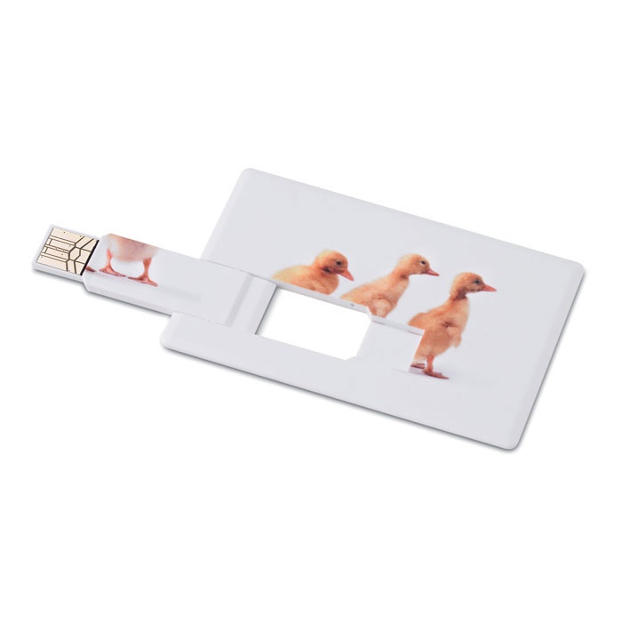 Logotrade promotional item picture of: Creditcard. USB flash 32GB