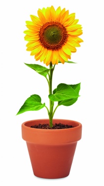 Logo trade promotional products image of: Terracotta pot 'sunflower'