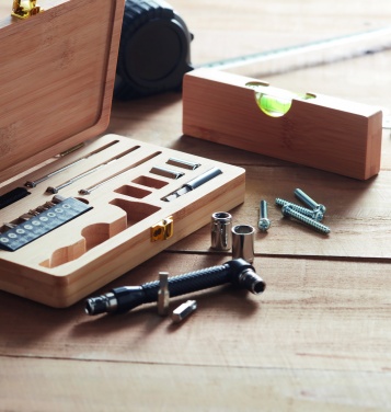 Logotrade promotional item image of: 21 pcs tool set in bamboo case