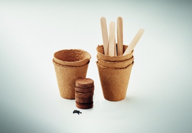 Logotrade advertising products photo of: Flowers growing kit