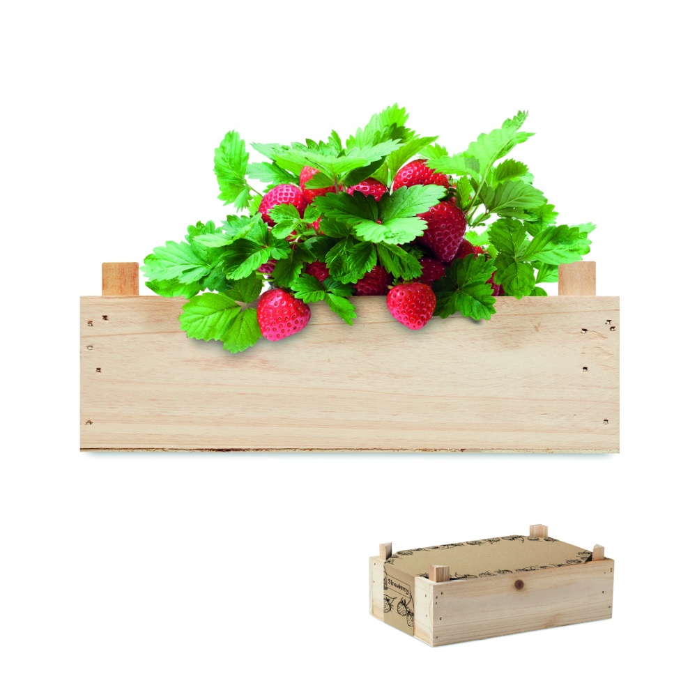Logo trade business gift photo of: Strawberry kit in wooden crate