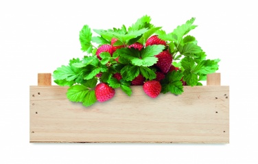 Logo trade promotional products image of: Strawberry kit in wooden crate