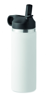 Logotrade promotional product image of: Double wall bottle 500 ml