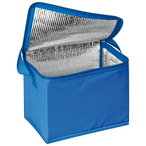 Logo trade promotional gift photo of: Cool bag 6 x 0,5 l MESA