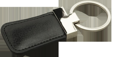 Logo trade promotional merchandise image of: Keyring 91109500