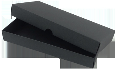 Logotrade promotional giveaway picture of: Keyring 572131