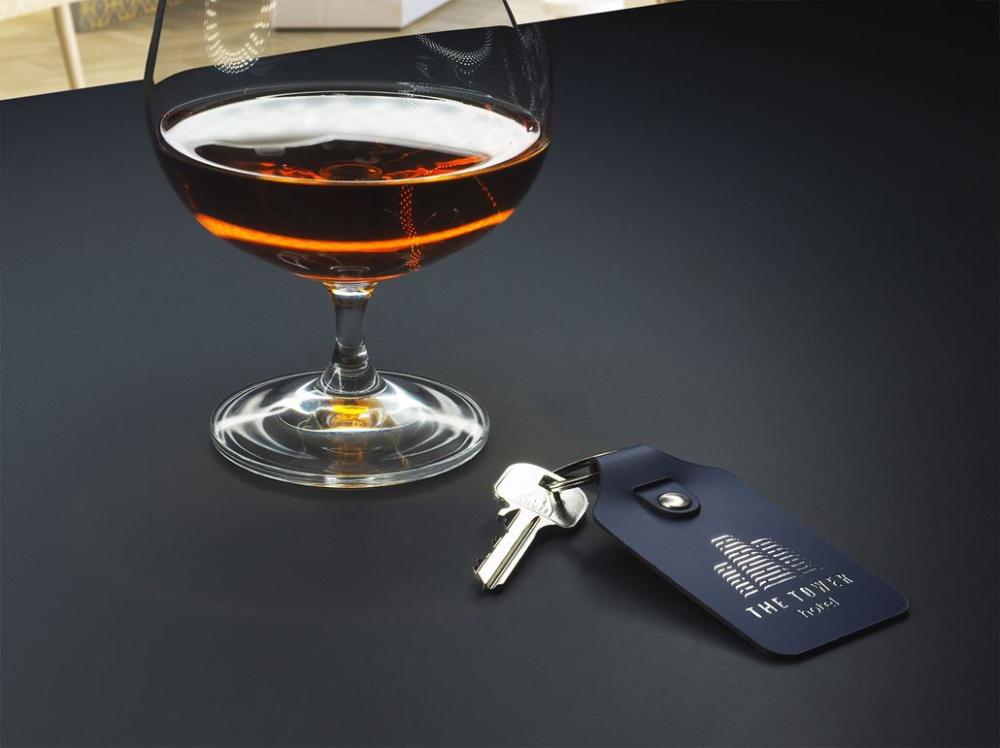 Logo trade advertising products picture of: Keyring 1200094
