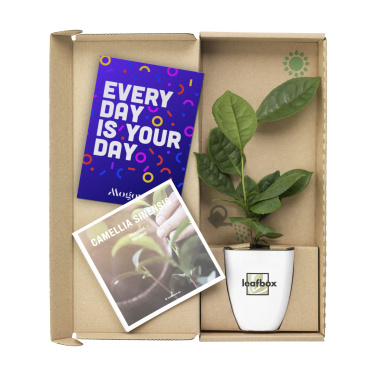 Logotrade promotional product picture of: Treemore Letterbox Trees Tea plant