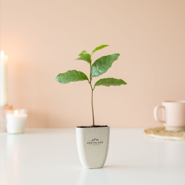 Logotrade promotional gift picture of: Treemore Letterbox Trees Tea plant