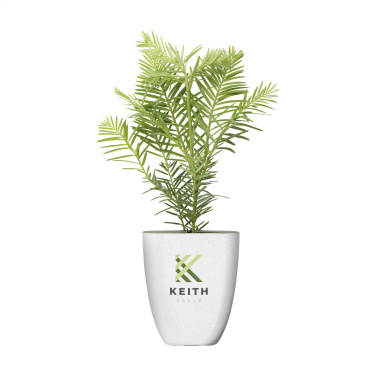 Logotrade corporate gift image of: Treemore Letterbox Trees Giant Sequoia