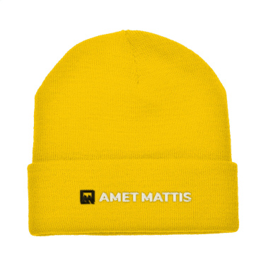 Logotrade promotional merchandise picture of: Antarctica hat