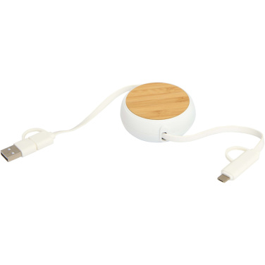 Logotrade promotional item image of: Chechia 5-in-1 recycled plastic 100 cm retractable data sync and 45W fast charge cable