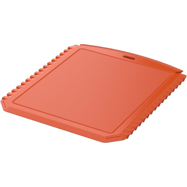 Logotrade promotional merchandise image of: Thrym rectangular recycled plastic ice scraper