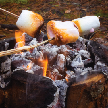 Logo trade promotional items image of: Eco Grill XL