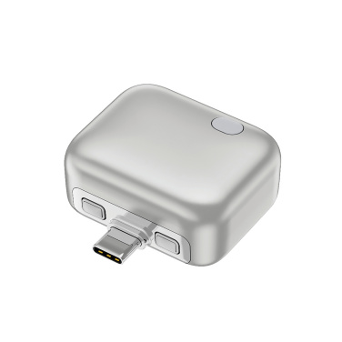 Logo trade promotional giveaway photo of: ChargeGuard RCS Auto-Disconnect USB-C Adapter