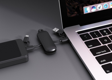 Logo trade business gifts image of: Urban Vitamin Dublin 100W 4 -in-1 keychain cable