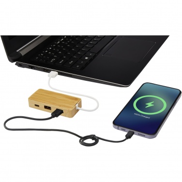 Logo trade ärikingituse pilt: Tapase bambusest USB-jaotur