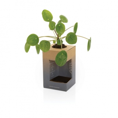Logotrade ärikingid pilt: Avira Alya RCS Re-steel termostops 300 ml