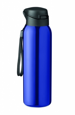 Logo trade reklaamkingituse pilt: Kaheseinaline pudel 580 ml