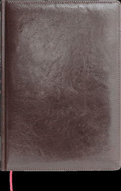 Logotrade ärikingituse foto: Kalendermärkmik 642131