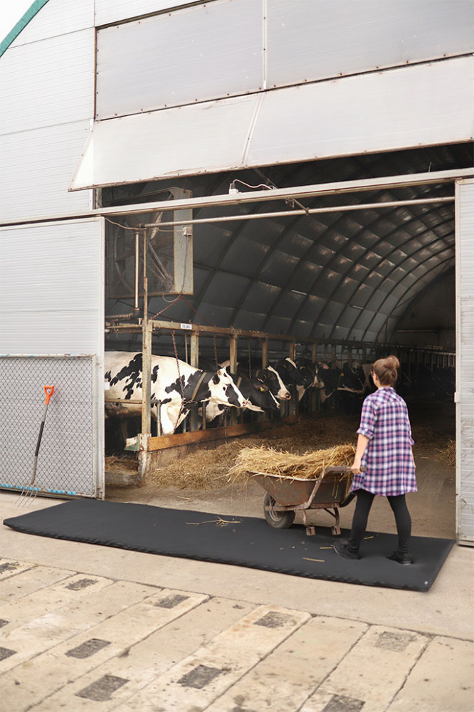 Logotrade firmakingitused pilt: Matt 120x600x4cm 1365087