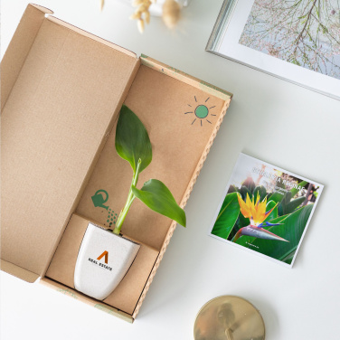 Logotrade reklaamkingi foto: Treemore Letterbox Trees Paradiisilinnu taim