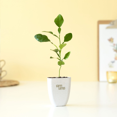 Logo trade reklaamkingi pilt: Treemore Letterbox Trees Kaffir Lemon