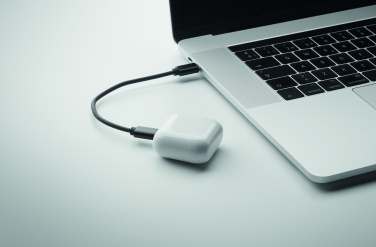 Logo trade meene pilt: CAWATT 4 in 1 kaabli pistikute komplekt 15W