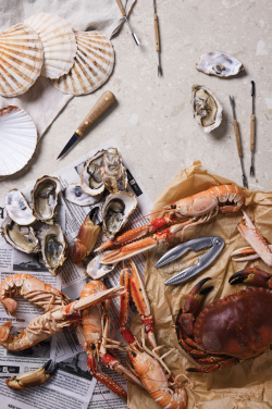 Logo trade reklaamkingituse pilt: VINGA "Story of Seafood" mereannikomplekt