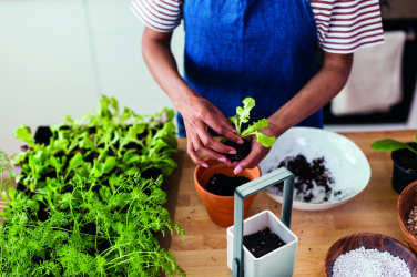 Logotrade firmakingituse foto: LED-valgustusega istutuspott LUSHLET