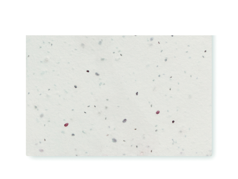 Logo trade firmakingituse pilt: ASIDA Seemnepaberist visiitkaart