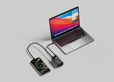 Logotrade dovana nuotrauka: Urban Vitamin Campbell 55W 10.000mAh kišeninė išorinė baterija